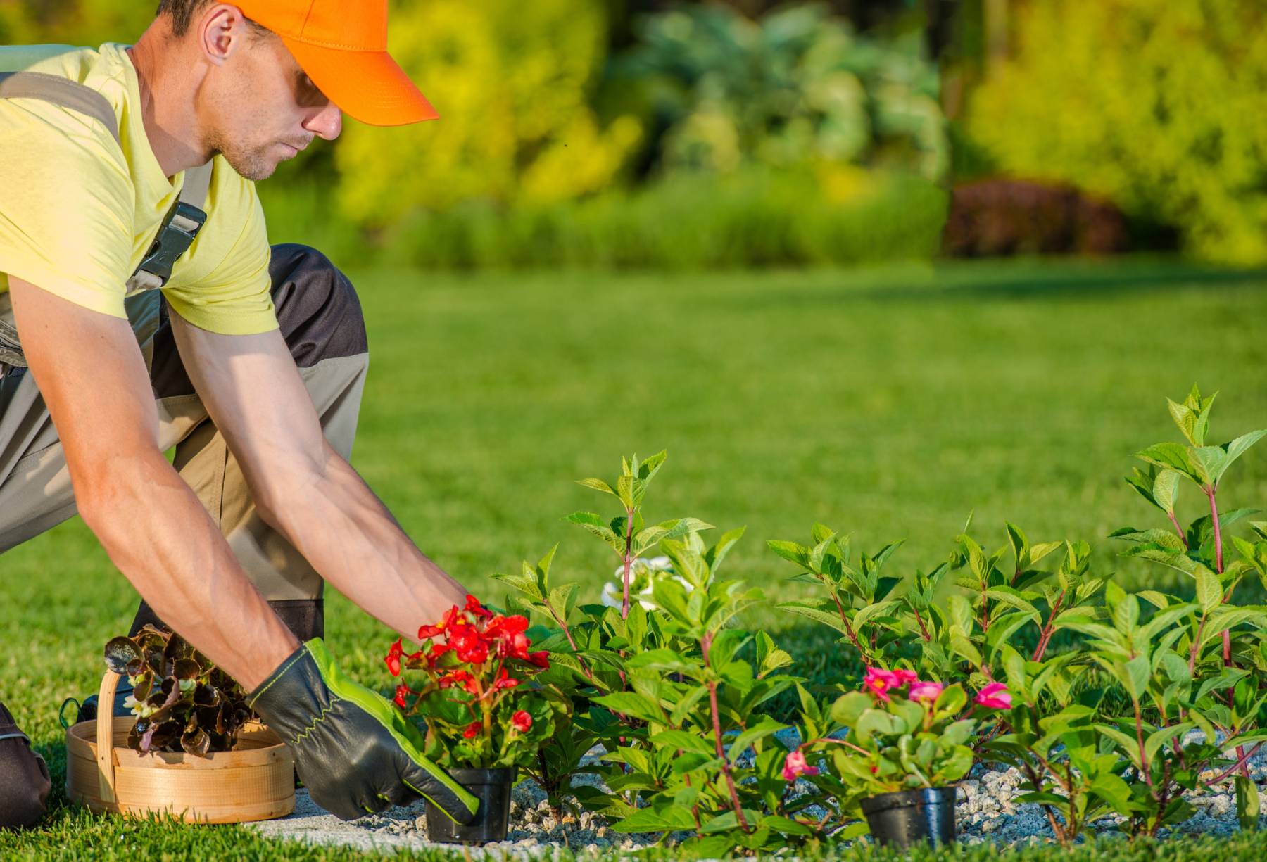 Expert Landscape Designer in Stockton, CA
