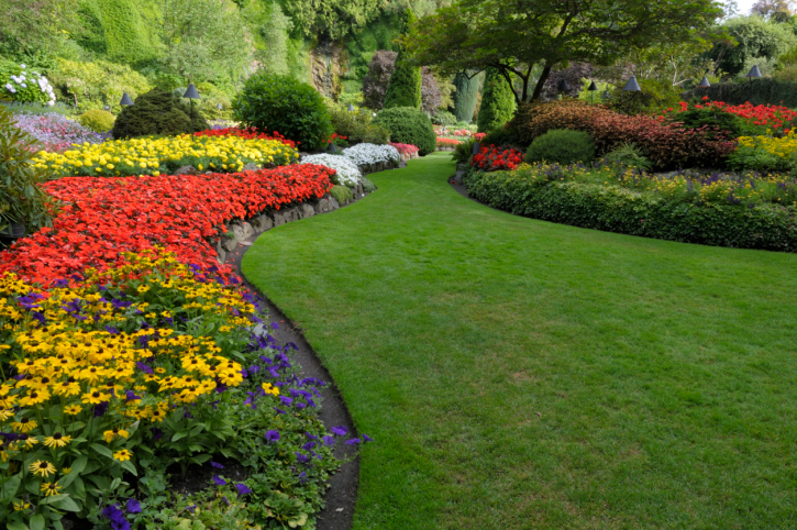 Affordable Landscaping Service in Stockton, CA