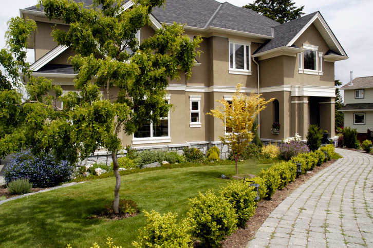 Affordable Landscaping Service in Stockton, CA