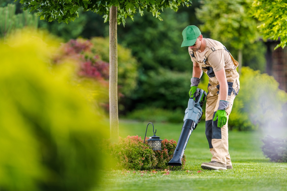 Local Landscaping Contractor in Stockton, CA Efficient Landscaping Contractor in Stockton, CA